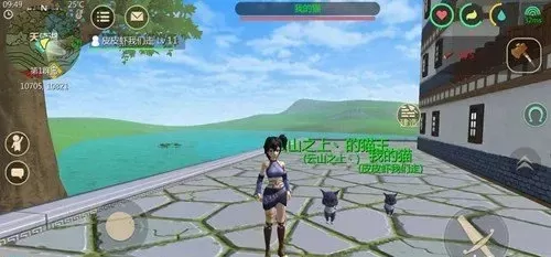 《创造与魔法》黑猫抓捕攻略:最佳时机、布局技巧及进化知识