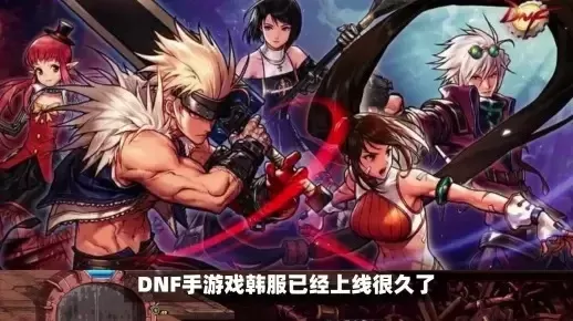 dnf手游汉化中文包-汉化提升DNF体验
